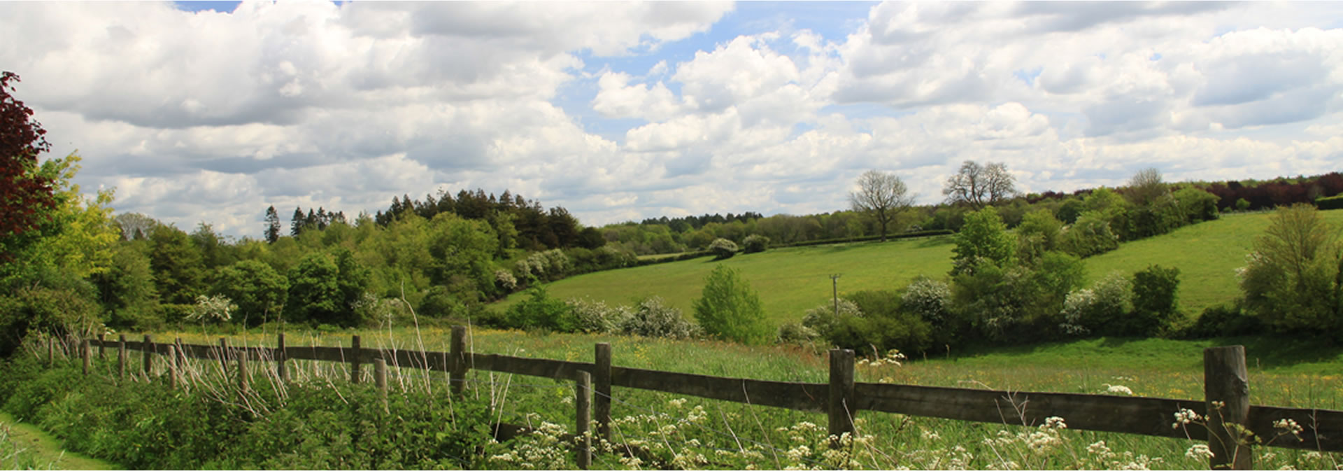 Abbots Leigh Countryside View